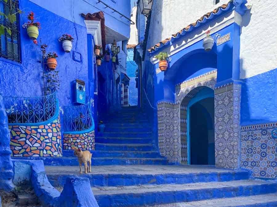 Chefchaouen 1 of 1 5